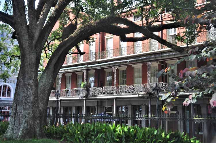 architecture at Jackson Sq